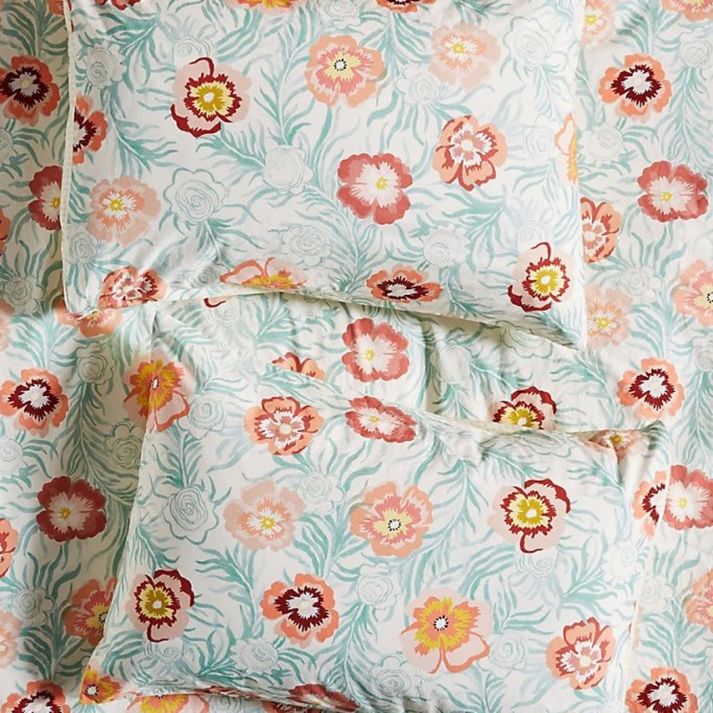 NWT Campagne Standard Shams